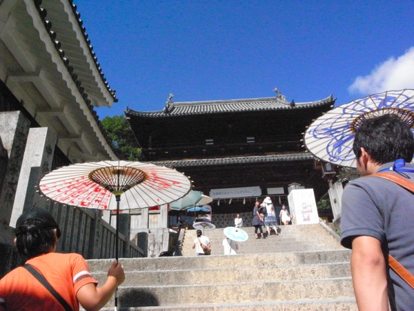 s_R0011858.jpg