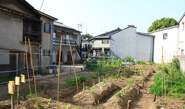 ヴィッパサナー瞑想