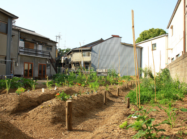 2014年6月_02.JPG