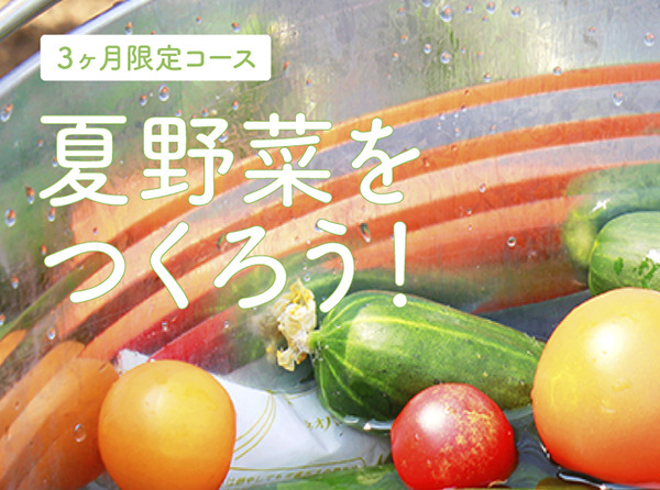 夏野菜体験コース