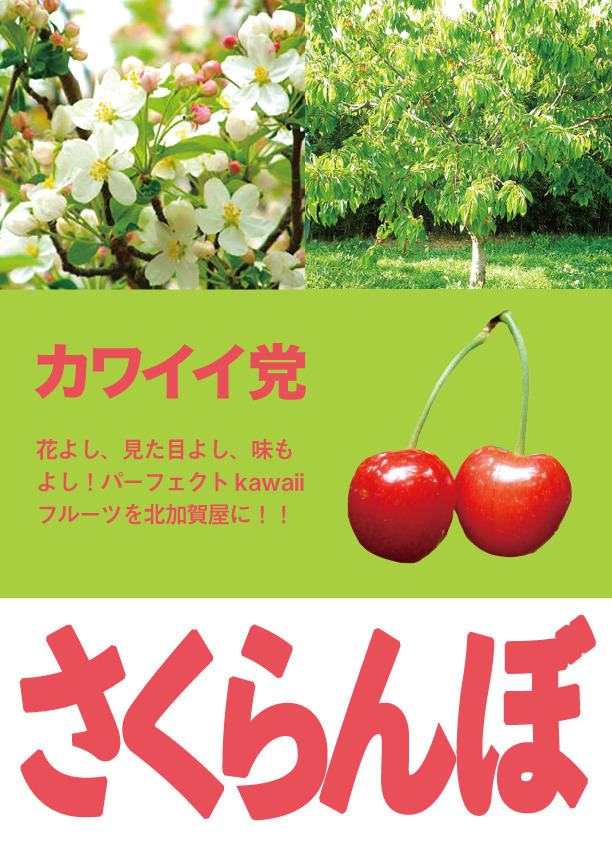 みんなのうえん果樹選挙2017