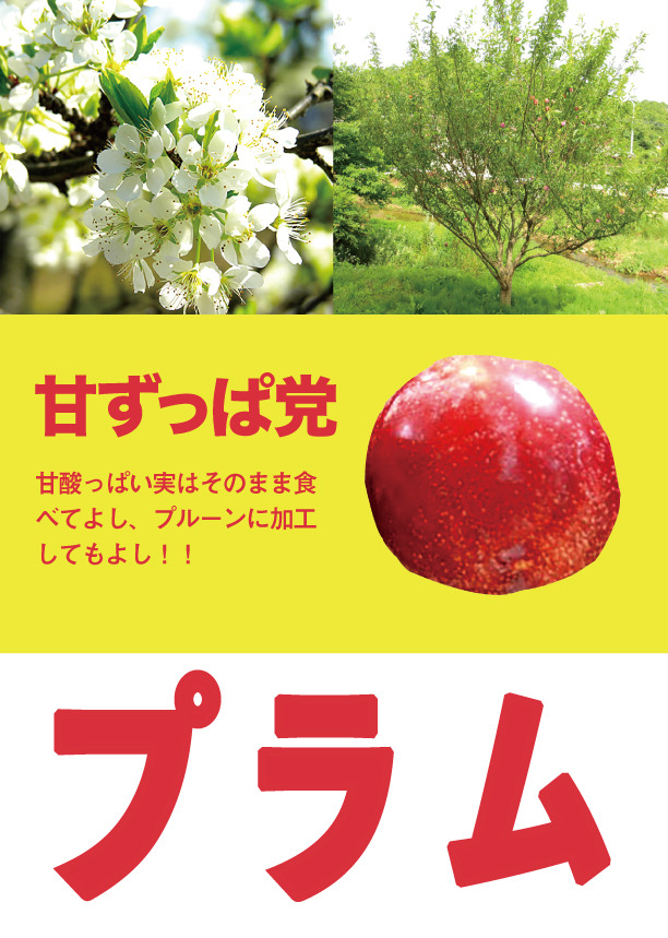 みんなのうえん果樹選挙2017