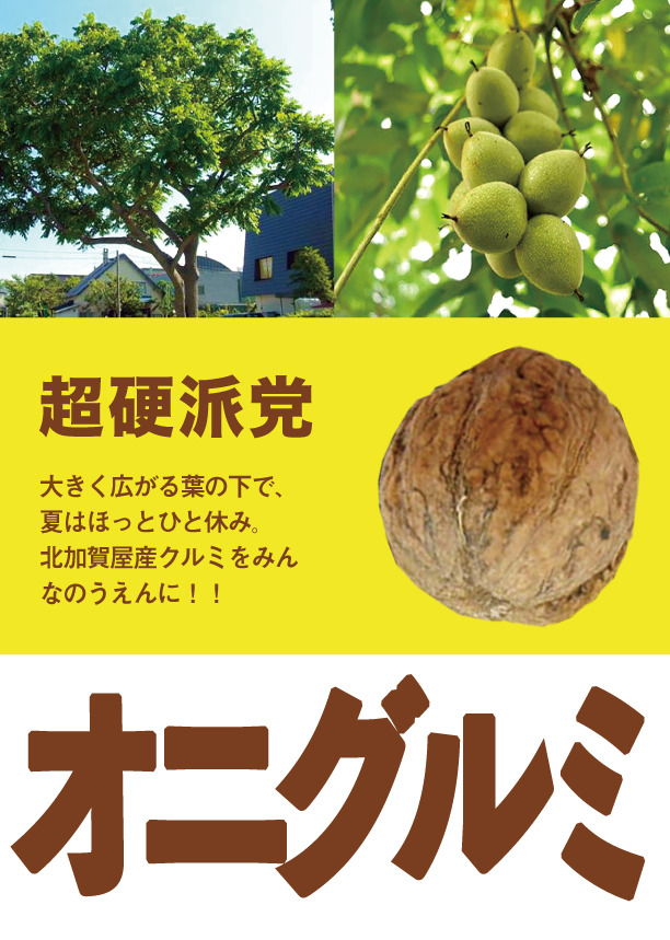 みんなのうえん果樹選挙2017