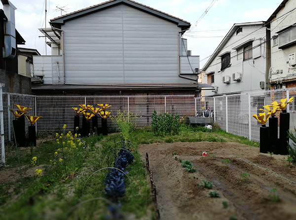 nisimurasan.jpg