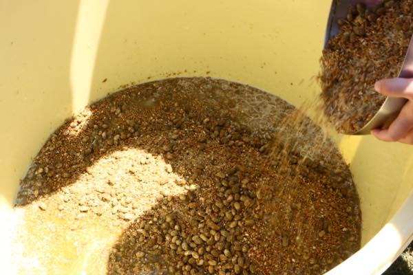 みんなのうえん醤油づくり