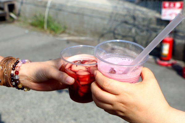 KITAKAGAYA FLEA