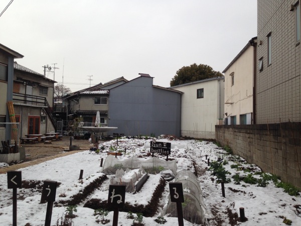 s_IMG_6447.jpg