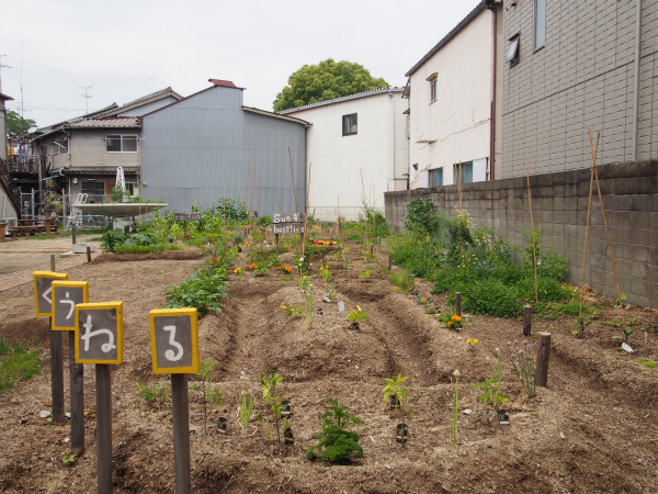 s_P1010075.jpg