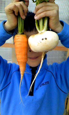 ss_121223_1143~01.jpg