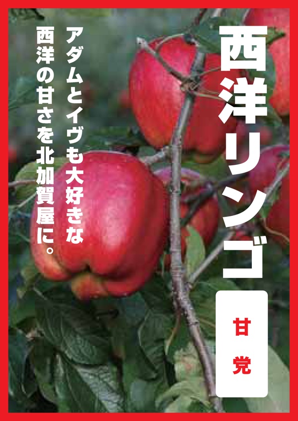 ss_果樹05西洋リンゴ.jpg