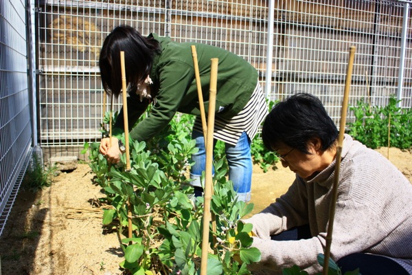 ss_IMG_4792.jpg