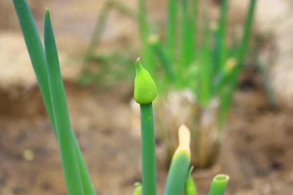 ss_IMG_4858.jpg