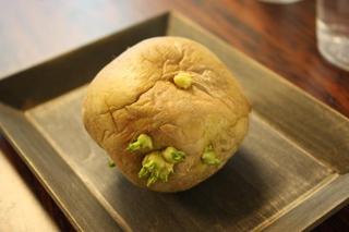ss_IMG_7085.jpg